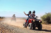 Marrakech Palm Oasis and Desert Quad Bike Adventure