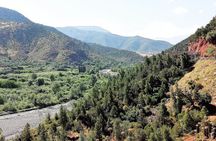 Private Day Tour to Ourika Valley including Guided Hike and Lunch from Marrakech