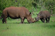 Half-Day Nature Walk in Mosi-oa-Tunya National Park from Livingstone