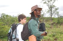 Half-Day Nature Walk in Mosi-oa-Tunya National Park from Livingstone