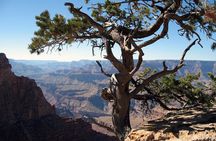 Comprehensive Grand Canyon Tour from Flagstaff