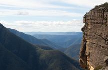 Inside the Greater Blue Mountains World Heritage - A Wildlife Safari Overnight