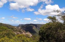 Inside the Greater Blue Mountains World Heritage - A Wildlife Safari Overnight