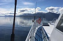 From Tromsø: Fishing Adventure