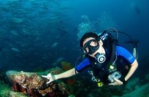 Discover Scuba Diving