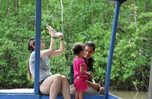 Damas Island Mangrove Boat Tour from Manuel Antonio