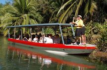 Damas Island Mangrove Boat Tour from Manuel Antonio