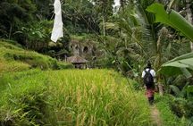 UNESCO Sites Cultural Walking Tour in Bali