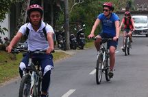 Bali Downhill Cultural Cycling Tour