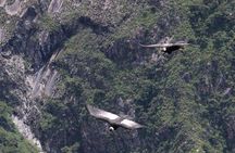 Apurimac Canyon with Condor Viewing from Cusco