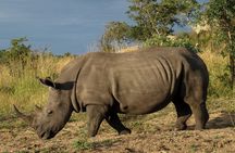 Rhino and Lion Park to see lots more animals nearest Johannesburg