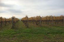 Customized private winery day tour in Mornington Peninsula at your own choices