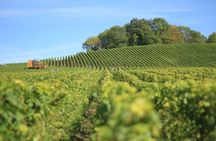 Customized private winery day tour in Yarra Valley at your own choices