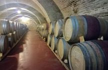 Kaheti One Day wine tasting and sightseeing Tour 2022