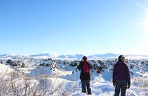 Private Tour in Northern Iceland from Akureyri