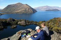 Wanaka Nature Encounter Lake Cruise and 4WD Safari