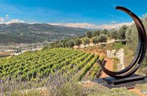 Provence Organic Wine Small Group Half Day Tour with Tastings from Nice