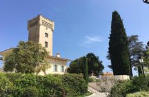 Provence Organic Wine Small Group Half Day Tour with Tastings from Nice