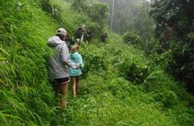 Hiking and Zipline Private Tour from Chiang with Karen Village