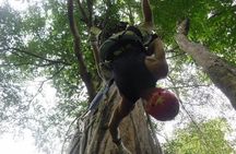 Hiking and Zipline Private Tour from Chiang with Karen Village