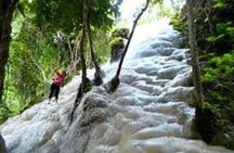 Bau Thong Waterfalls, Tea, and Wat Ban Den Private Tour