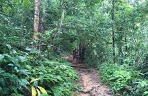 Trekking at the Monk Trail and Doi Suthep Temple Private Tour 
