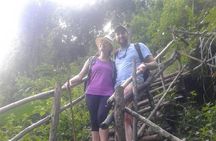 Doi Suthep Tour: Trekking at Doi Inthanon National Park with Lunch