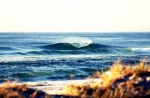 7-Day Byron Bay, Evans Head and Moonee Beach Surf Safari from Brisbane, Gold Coast or Byron Bay