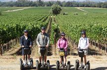 Sonoma County Wine Segway Tour