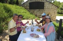 Sonoma County Wine Segway Tour