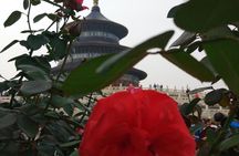 Small-Group Tour: UNESCO World Heritage Sites of Beijing