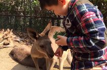 Badaling Wildlife World Private Tour from Beijing