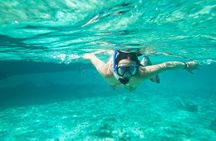 Cades Reef Snorkel Cruise from St. John's Antigua