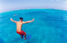 Cades Reef Snorkel Cruise from St. John's Antigua