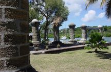 Half-Day Tour: Island Safari Adventure from St. John's