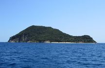 Turtle Spotting Cruise in Zakynthos