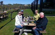 Full-Day Marlborough Catamaran Cruise with Wine Tour and Lunch