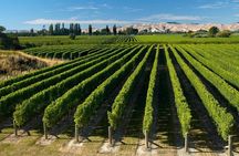Shore Excursion Marlborough Wine Region Tour from Picton