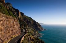 Private Cape Peninsula + Kirstenbosch Garden Full Day Guided Tour