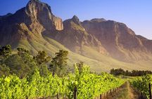 Private Cape Winelands Guided Full Day Tour from Cape Town