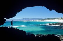Shark Diving Full Day Guided Return Transfer to Gansbaai from Cape Town