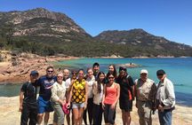 Launceston to Hobart via Wineglass Bay - Active one-way Day Tour