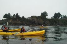 Ocean Kayaking Experience in Brookings