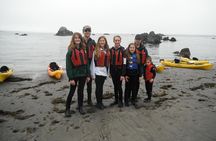 Ocean Kayaking Experience in Brookings