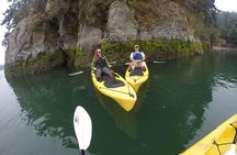 Kayaking Brookings Chetco River