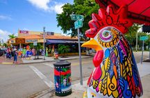 Miami City and Boat Tour Little Havana Included Plus FREE Bike Rental in SoBe