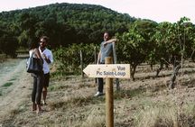 Hike to the top of "Pic Saint Loup", wine & food 