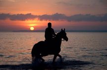 Sunset Beach Horseback Riding 