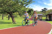 Half Day Izu Kogen Highlands Downhill Cycling Tour