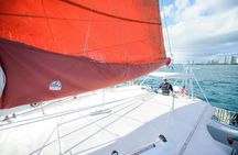 Waikiki Panorama Sail: Search for Hawaiian Sea Turtles